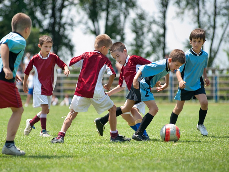 Le sport à l’école ou l’école aux sports ?